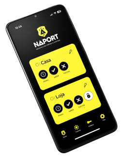 ref_B_Naport_Rebranding_MANUAL-DE-MARCA.pdf (8)